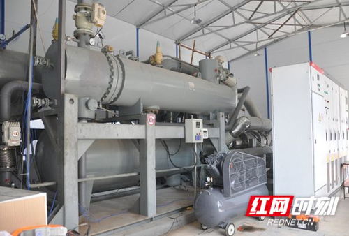 湘电集团 国企担当引领工程机械绿色升级，高效节能产品走俏租赁市场