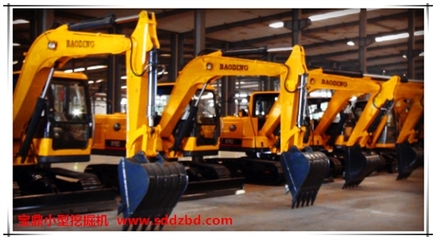 理性消费与灵活配置 中国小型挖掘机械市场购买群体演变与租赁业态兴起